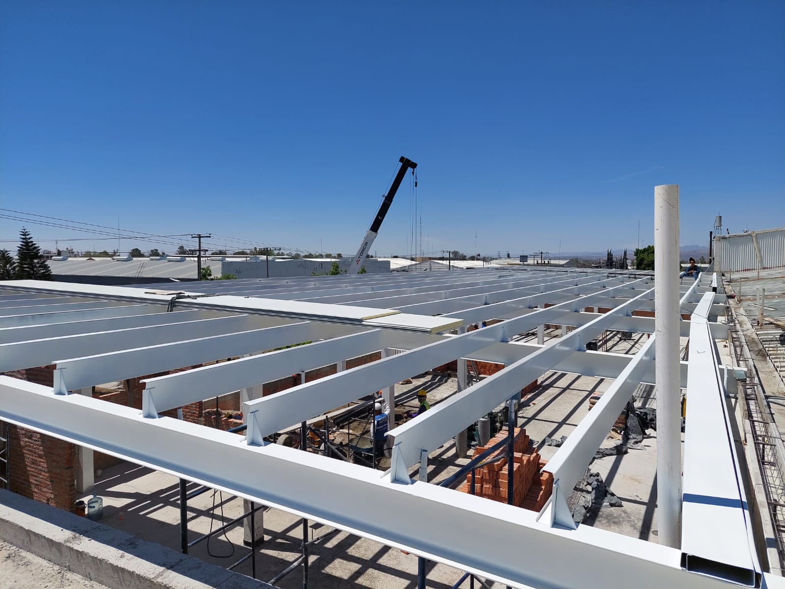 WhatsApp Image 2024-06-24 at 3.30.07 PM (3)